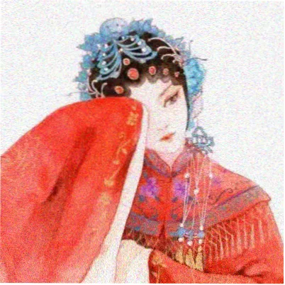 读者头像一